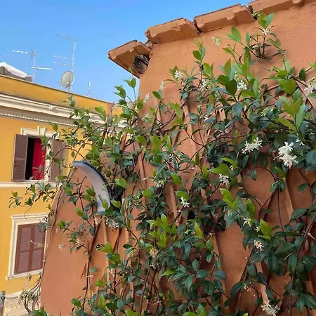 Piccola Homestay Rome