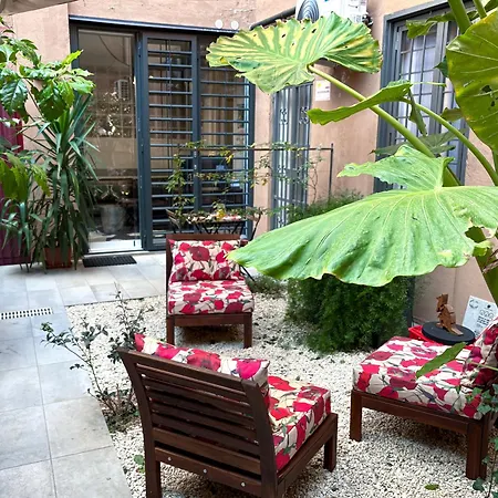The Shelter Apartment *