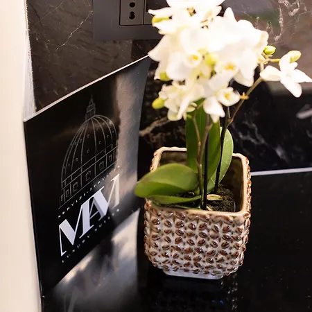 Bed & Breakfast Mavi Luxury Roma