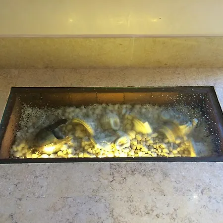 Hotel Elide 3*