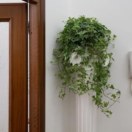 Saint Peter Apartment
