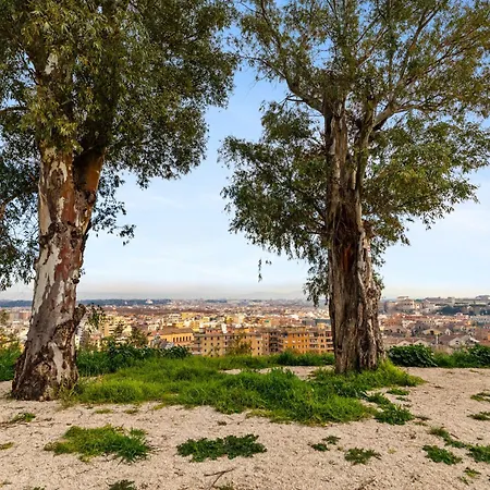 Beautiful Charming Garden Near St Peter * Rome