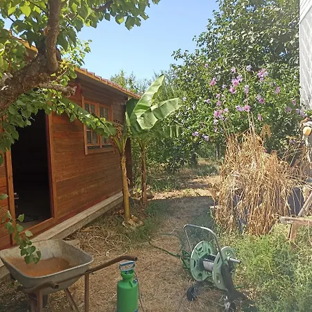 Ripe'S Forest Garden Guest House Casa de hóspedes