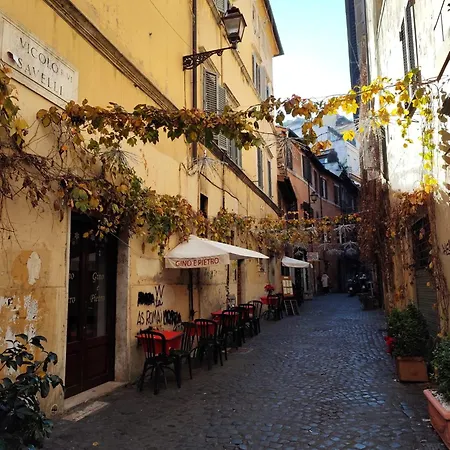 Cozy Navona *