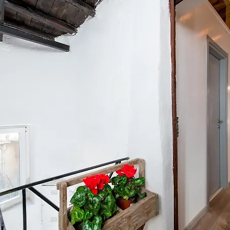 Apartment Ultimopiano Rome