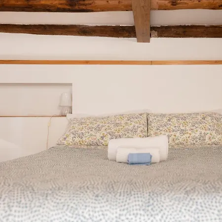 Domus Palestro Apartment *
