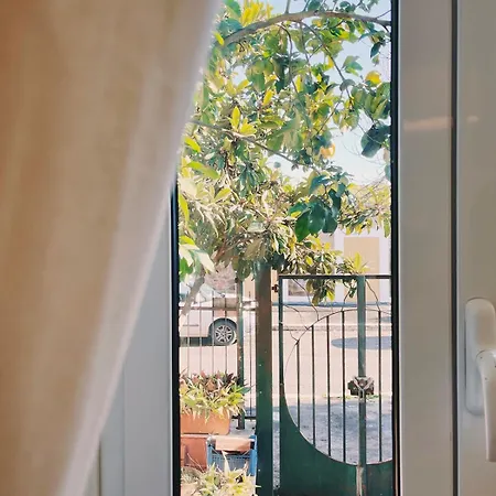 Casa Romana *