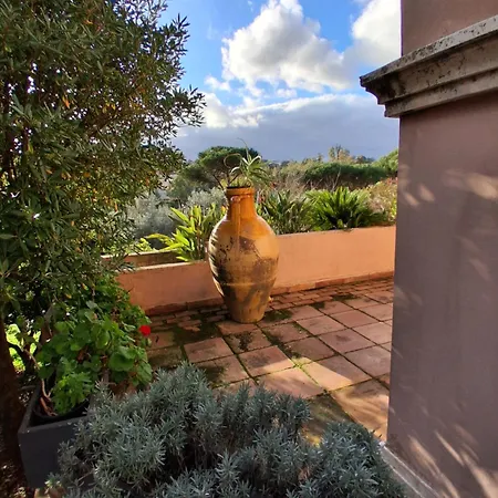 The Olive Grove Villa Rome