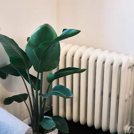 Carolina Trastevere House Apartment *