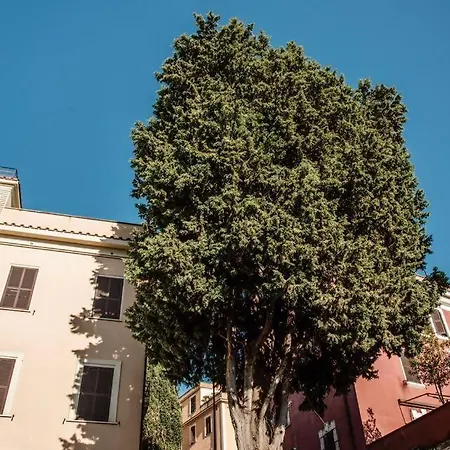 Vatican Del Gallo Apartment Rome