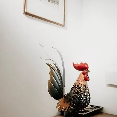 Apartment Vatican Del Gallo Rome
