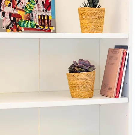 Cosy Close To Parco Appia Antica Zeno 63 Roma
