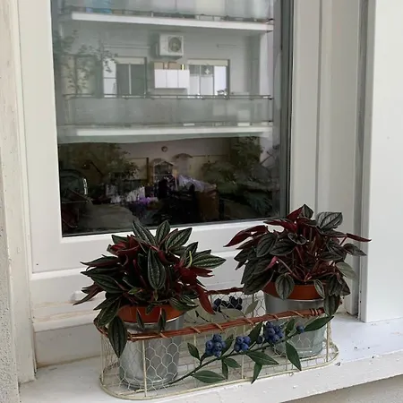 Apartment Casina Soleggiata *