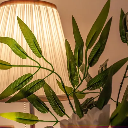 Iflat Classy & Spacious Near Campo De Fiori * Rome