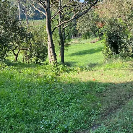 Casale Monte Oliviero