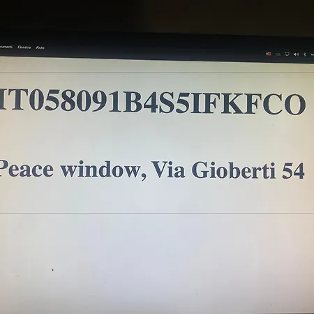 Apartment Peace Window