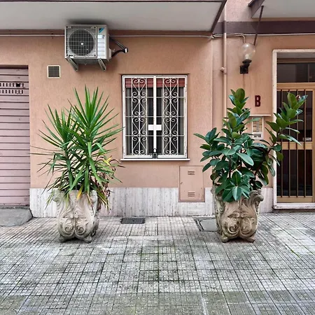 Urban House Monteverde *