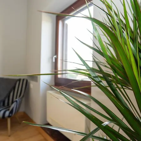 Divine View Apartment