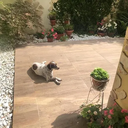 Apartment Garden House Monte Mario