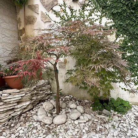 Garden House Monte Mario * Rome