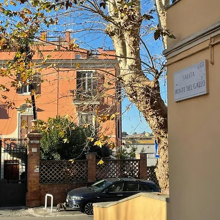 Cozy Artsy Near The Vatican * Rome