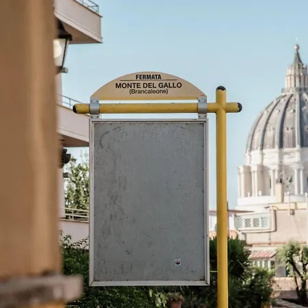 Vatican Del Gallo Rome