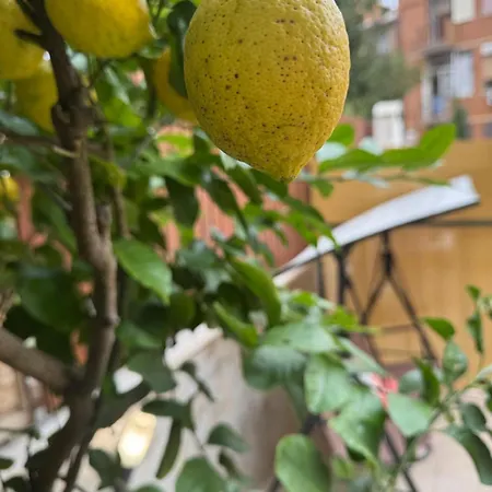 Appartement Agli Acquedotti, Con Giardino Privato *