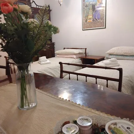 Camilla's House Apartment