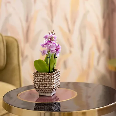 Bed & Breakfast Mavi Luxury Roma