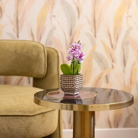 Mavi Luxury Bed & Breakfast *