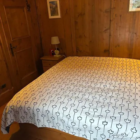 Cozy Nest Apartment