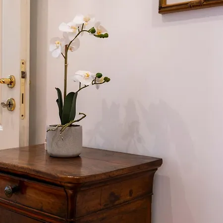 Apartment Elegantis Solinda *