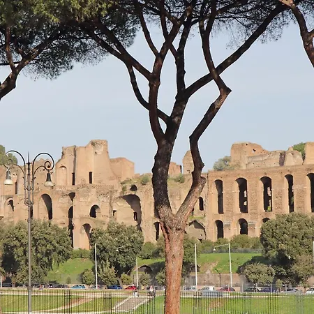 Ych-exclusive On Circus Maximus