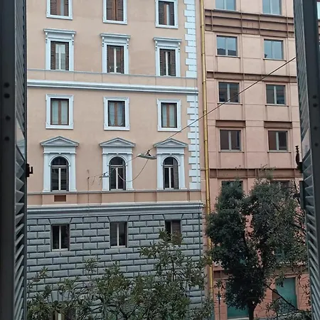 Domus Conte *