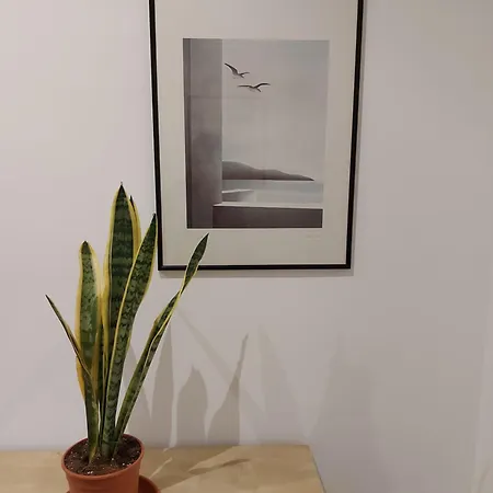 Apartment Da Ale House Rome