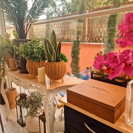 Bed & Breakfast Vaticano 13 Rome