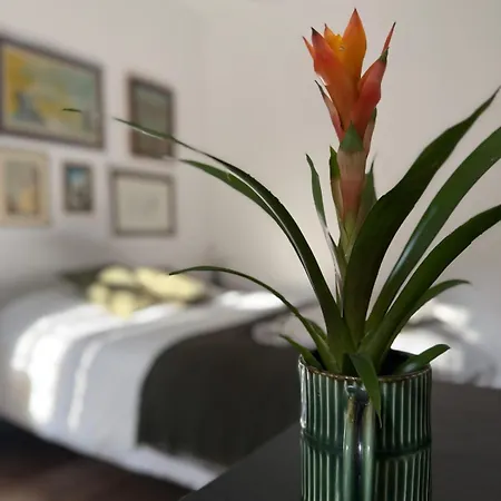 La Palma Al Vaticano Apartman *