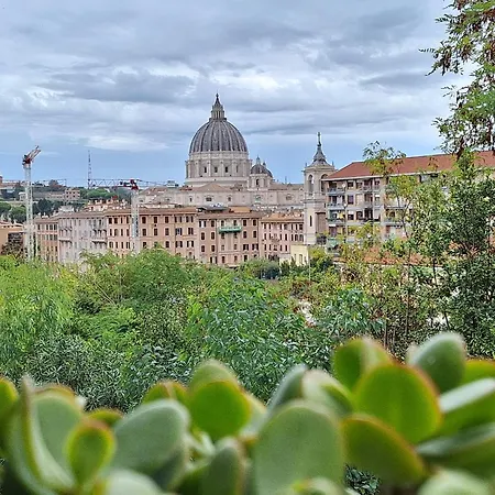 Delmirani's Book - Vatican View *