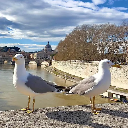 Few Steps From Vatican Apartment