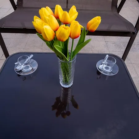 Apartment Elegantis La Dolce Vista With Private Terrace And Fantastic View *