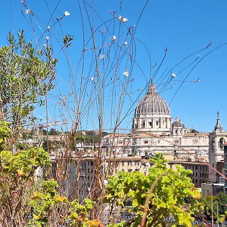 Delmirani's Book - Vatican View Apartment