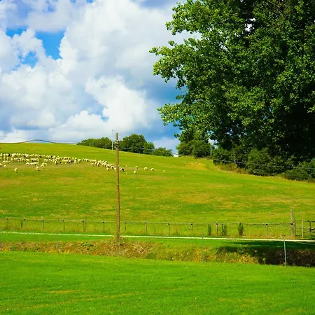 Farm stay Borgo Pallavicini Mori Rome