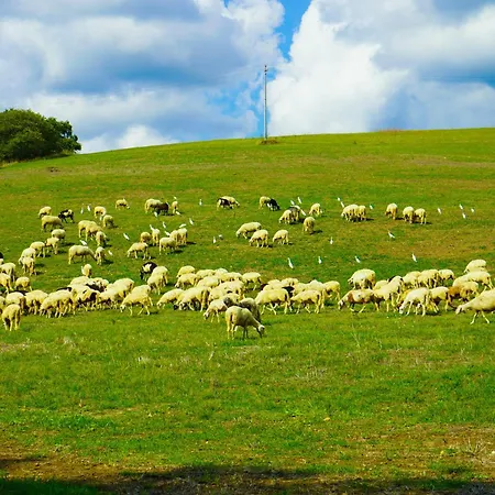 Farm stay Borgo Pallavicini Mori