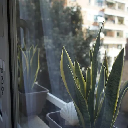 Appartement Hope