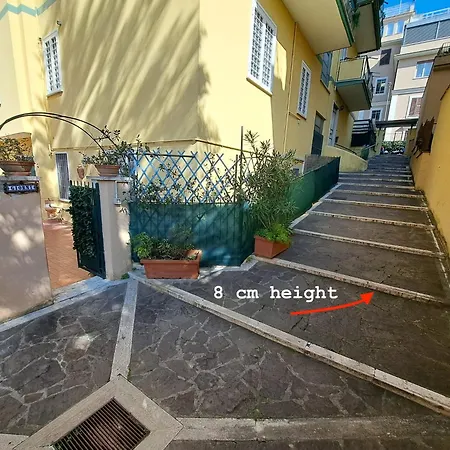 Hostme Gardenhouse Vaticano