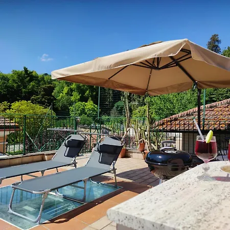 Domus Monami Dreams & Terrace In Trastevere Rome