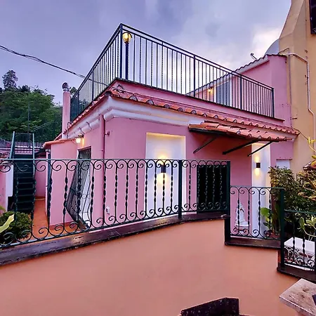 Domus Monami Dreams & Terrace In Trastevere Apartment Rome
