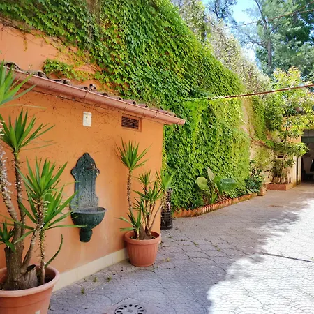 Domus Monami Dreams & Terrace In Trastevere Apartment