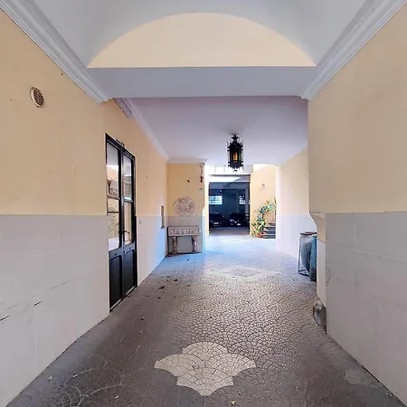 Domus Monami Dreams & Terrace In Trastevere Apartment Rome