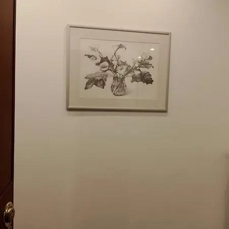 Casa 12 *